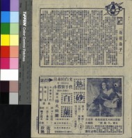 藏品(花花公子)的圖片