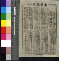 藏品(豆腐西施)的圖片