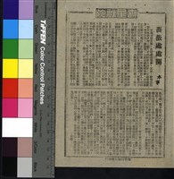 藏品(薔薇處處開)的圖片