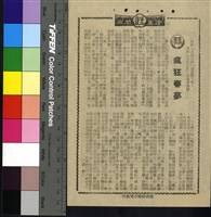 藏品(瘋狂春夢)的圖片