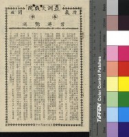 藏品(碧港艷遇)的圖片