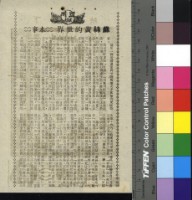 藏品(蘇絲黃的世界)的圖片