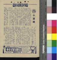 藏品(小寡婦)的圖片