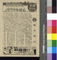 藏品(倩女春心)的圖片