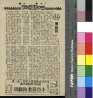 藏品(黑狐狸)的圖片