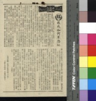 藏品(教我如何不想她)的圖片