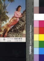 藏品(李麗華─娘惹與峇峇)的圖片