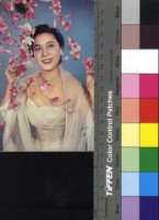 藏品(林翠)的圖片