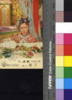 藏品(丁瑩─龍女)的圖片