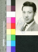 藏品(楊羣)的圖片