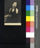 藏品(歐陽莎菲)的圖片