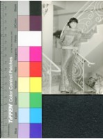 藏品(凌波)的圖片