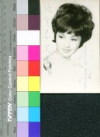 藏品(李菁)的圖片