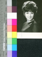 藏品(李菁)的圖片