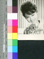 藏品(方盈)的圖片