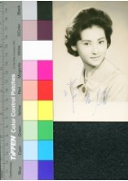 藏品(張美瑤)的圖片