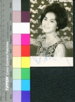 藏品(白露明)的圖片