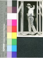 藏品(鍾鎮濤)的圖片