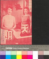 藏品(天網)的圖片