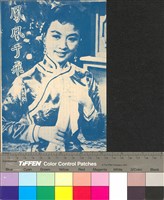 藏品(鳳凰于飛)的圖片