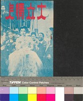 藏品(大眾情人)的圖片