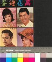 藏品(萬花迎春)的圖片