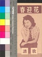 藏品(花迎春)的圖片