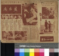 藏品(黃色鳥)的圖片