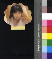 藏品(楊林)的圖片