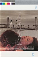 藏品(在陌生的城市)的圖片