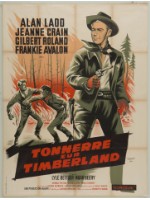 藏品(Tonnerre Sur Timberland(林地中的槍))的圖片