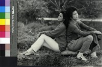 藏品(七夕雨)的圖片