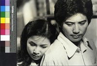 藏品(七夕雨)的圖片