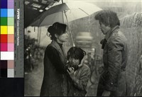 藏品(七夕雨)的圖片