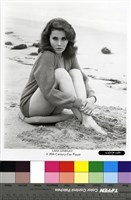 藏品(Lara Lindsay)的圖片