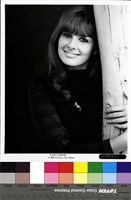 藏品(Cindy Ferrare )的圖片