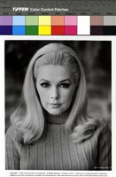 藏品(How To Save a Marriage…And Ruin Your Life)的圖片