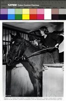 藏品(See No Evil)的圖片