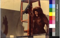 藏品(國外劇照2)的圖片