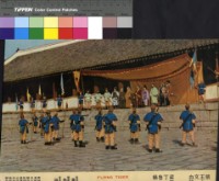 藏品(飛虎)的圖片