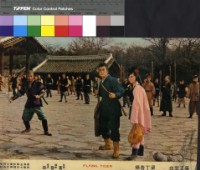 藏品(飛虎)的圖片