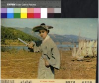 藏品(飛虎)的圖片