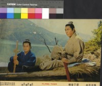 藏品(飛虎)的圖片