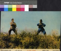 藏品(飛虎)的圖片