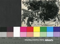 藏品(國內外劇照17)的圖片