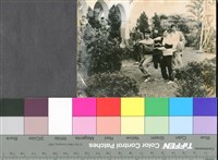 藏品(國內外劇照34)的圖片