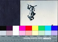 藏品(國內外劇照42)的圖片