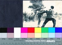 藏品(國內外劇照52)的圖片