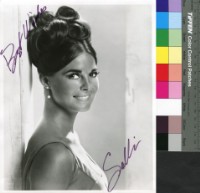 藏品(Salli Sachee)的圖片