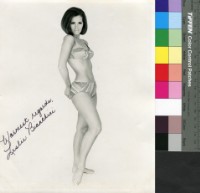 藏品(Leslie Bianchini)的圖片